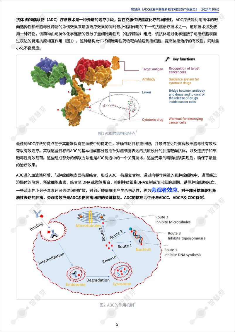 《2024年ADC研发中的最新技术和知识产权趋势报告-35页》 - 第5页预览图