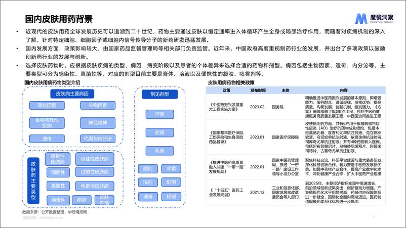 《【魔镜洞察】皮肤用药线上市场分析》 - 第5页预览图