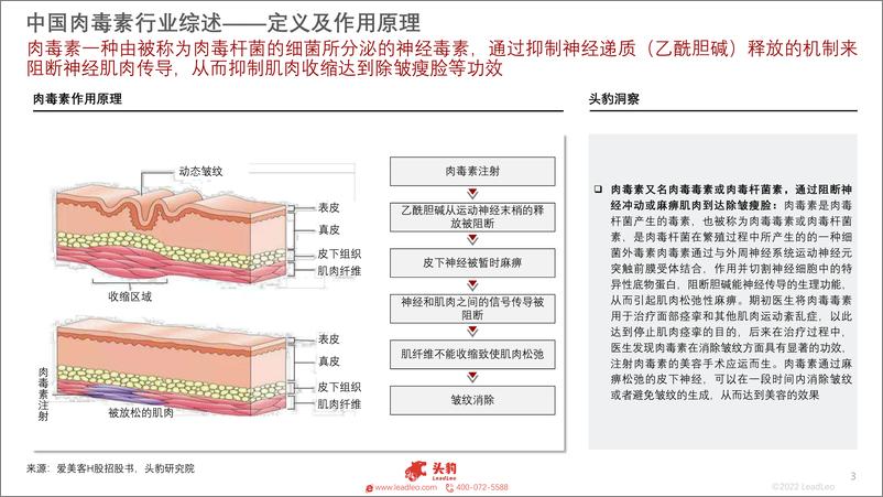 《头豹研究院-医美产业链系列之2022年中国肉毒素行业概览：爱美客、四环医药、兰州生物纷纷布局与玻尿酸并驾齐驱的掘金赛道-2022.09-15页-WN9》 - 第3页预览图