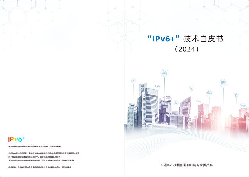 《推进IPv6规模部署和应用专家委员会__IPv6 _技术白皮书_2024_》 - 第1页预览图