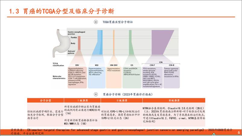 《医药行业ADC药物适应症系列之胃癌：HER2%2b胃癌治疗迈入ADC时代，CLDN18.2靶点潜力已现-240703-平安证券-33页》 - 第7页预览图
