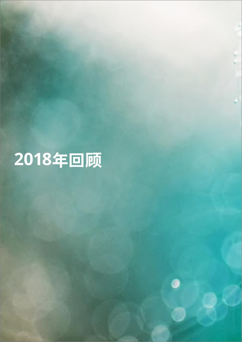 《德勤-2018年银行业回顾与2019展望-2019.5-84页》 - 第5页预览图