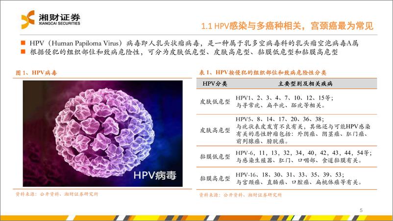 《HPV疫苗行业：政策促渗透率提升，HPV疫苗市场有望迎来快速增长-20220531-湘财证券-32页》 - 第6页预览图