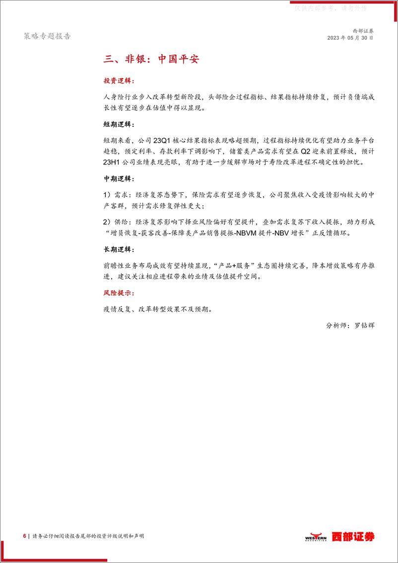 《西部证券-西部研究月度金股报告系列(2023年6月)：可以更乐观一些-230530》 - 第6页预览图