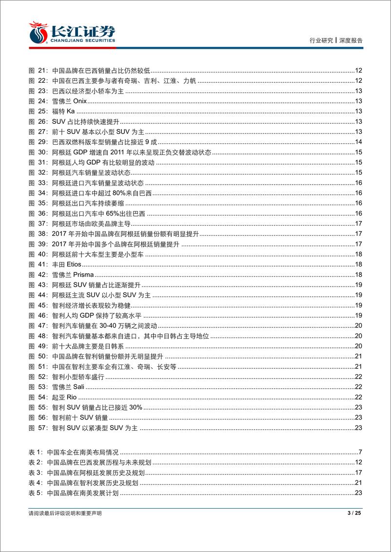 《汽车与汽车零部件行业：读懂全球车市系列报告之南美篇-20190603-长江证券-25页》 - 第4页预览图