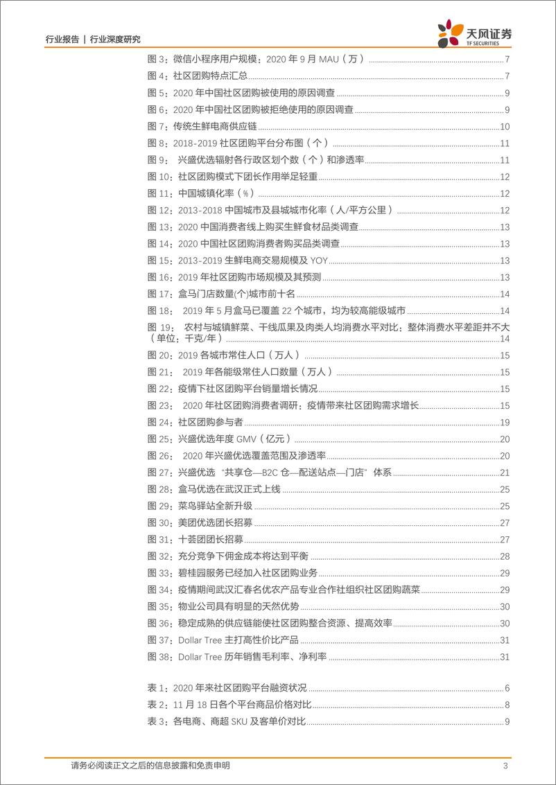 《社区团购：下沉市场风口再起，群雄逐鹿乾坤未定-天风证券-20201208》 - 第3页预览图