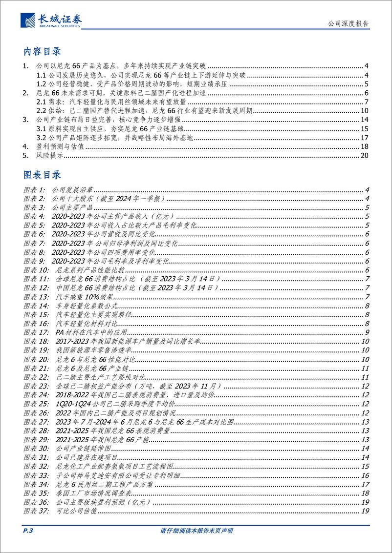 《神马股份(600810)尼龙66行业龙头，产业链双向延伸夯实公司一体化优势-240729-长城证券-22页》 - 第3页预览图