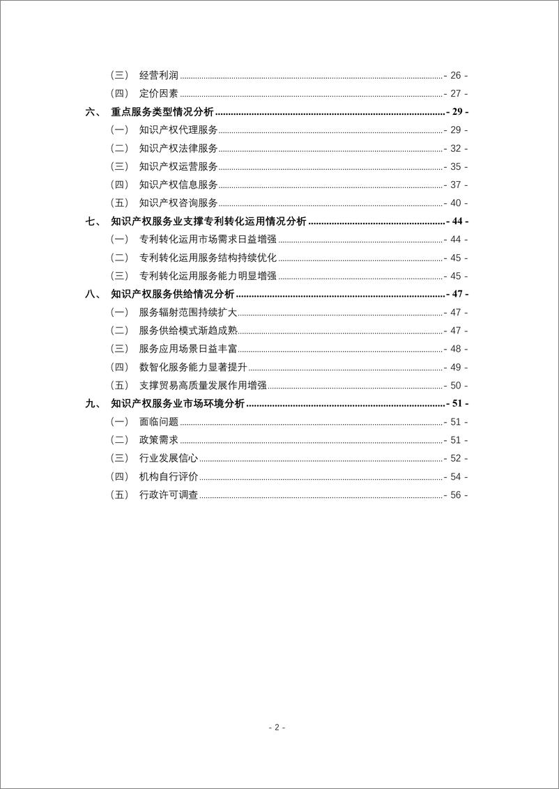 《国家知识产权局_2024年全国知识产权服务业统计调查报告》 - 第4页预览图