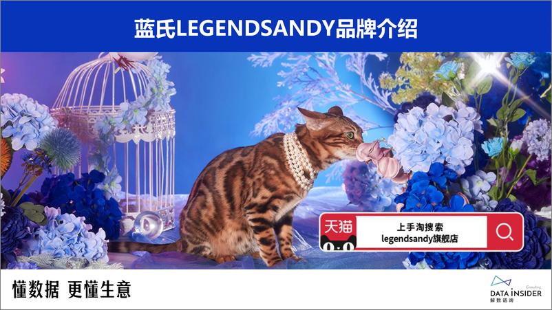 《全价猫主粮调研—蓝氏品牌拆解》 - 第4页预览图