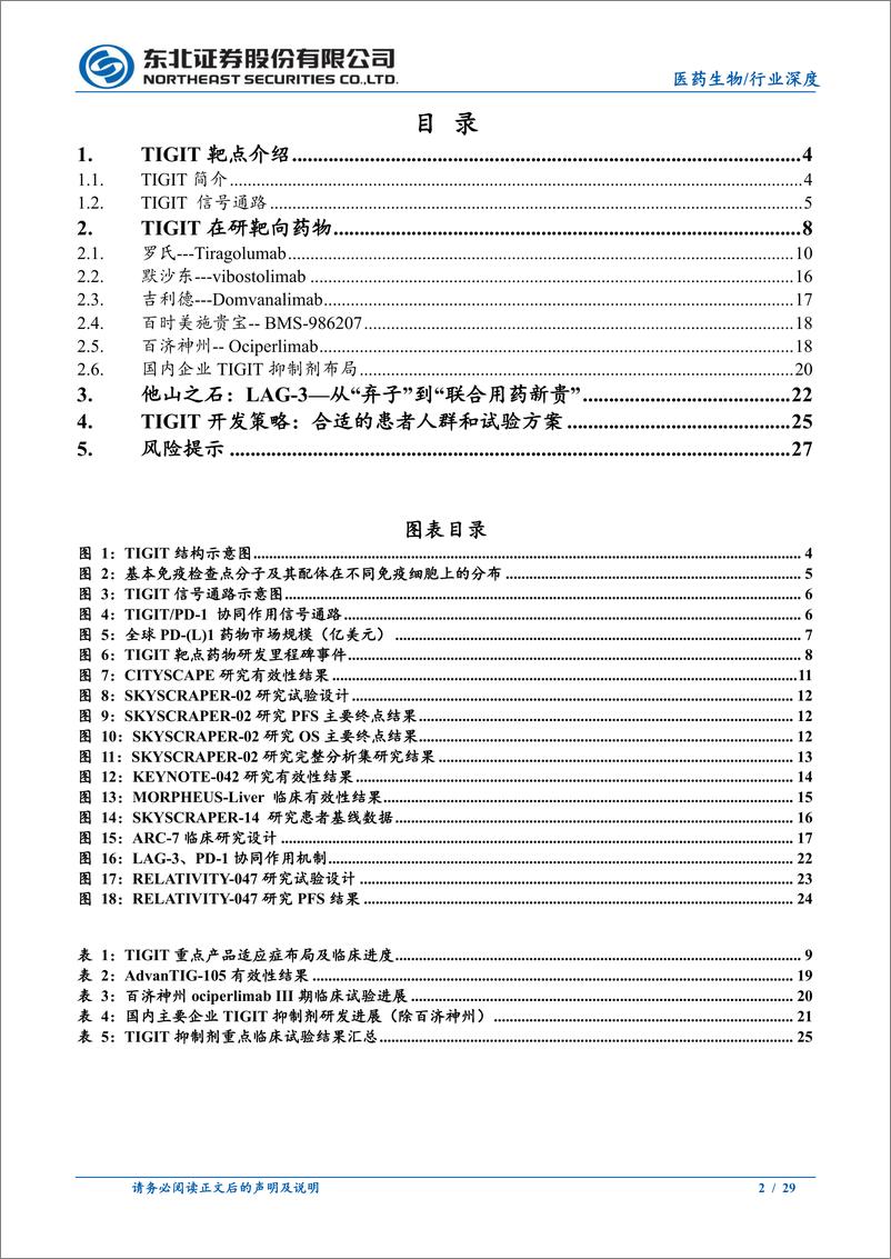 《TIGIT靶点行业深度报告：TIGIT，峰回路转，仍需积极关注-20230814-东北证券-29页》 - 第3页预览图