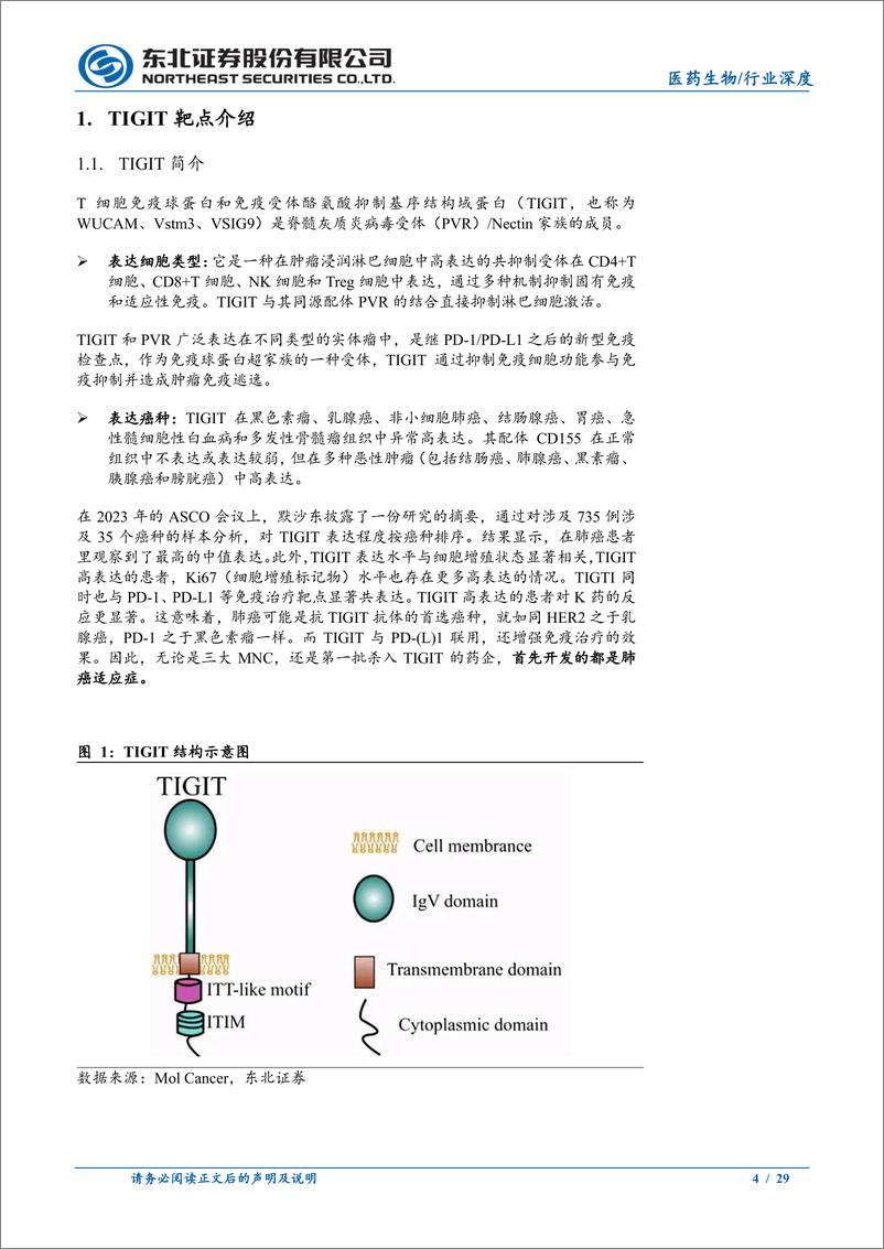 《TIGIT靶点行业深度报告：TIGIT，峰回路转，仍需积极关注-20230814-东北证券-29页》 - 第5页预览图