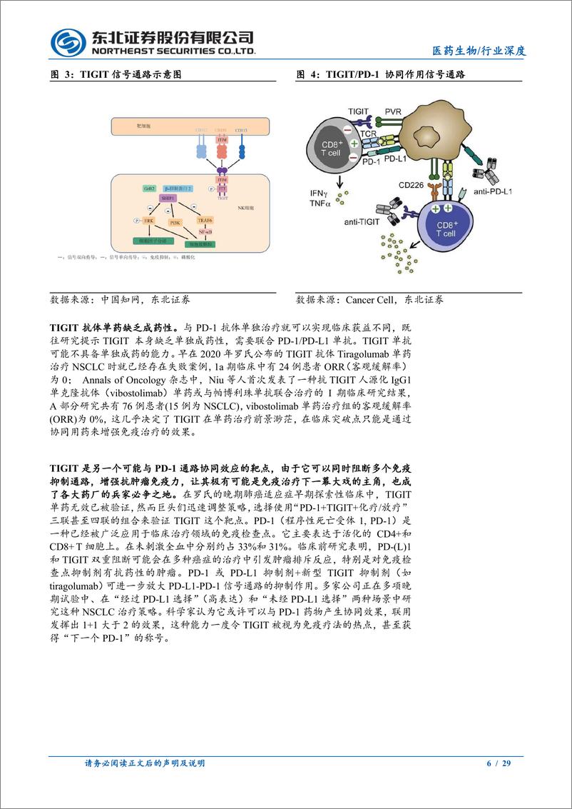 《TIGIT靶点行业深度报告：TIGIT，峰回路转，仍需积极关注-20230814-东北证券-29页》 - 第7页预览图