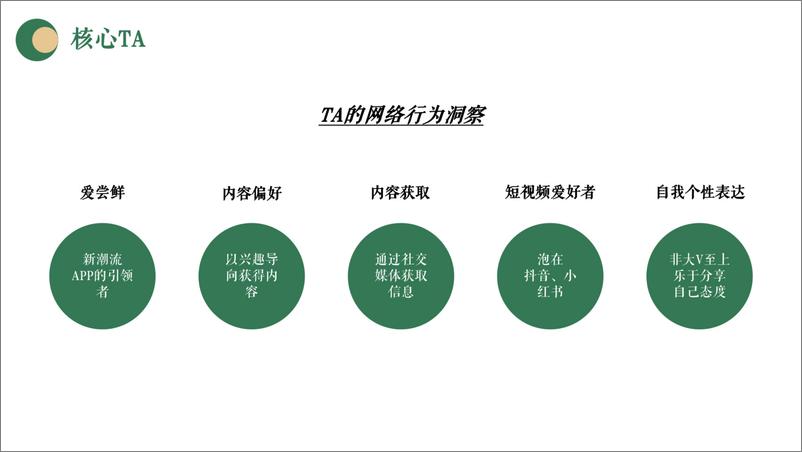 《新茶饮品牌雪糕产品项目线上投放方案【种草营销】》 - 第7页预览图