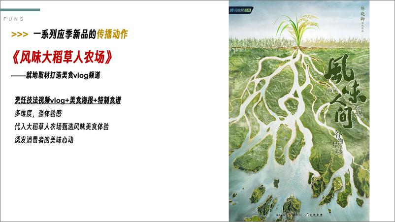 《稻草人农场-农产品IP推广包装思考【农产品推广】【助农IP】》 - 第8页预览图