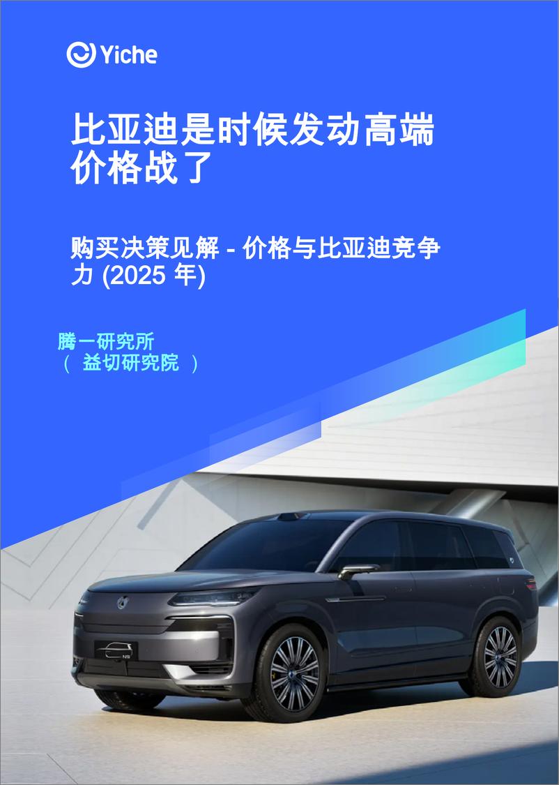 《比亚迪是时候发动高端价格战了—购买决策见解 - 价格与比亚迪竞争力 _2025 年_》 - 第1页预览图