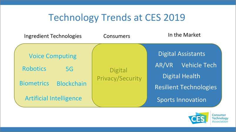 《CES-2019科技趋势报告：2020年全面进入数据时代》 - 第4页预览图