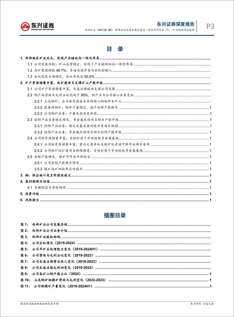 《西部矿业(601168)矿业板块拆分梳理：持续优化的多金属采选冶一体化西部龙头(I)-241112-东兴证券-23页》 - 第3页预览图