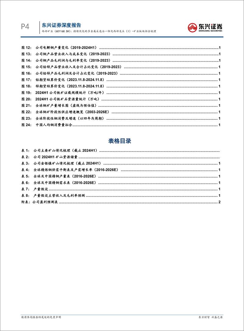 《西部矿业(601168)矿业板块拆分梳理：持续优化的多金属采选冶一体化西部龙头(I)-241112-东兴证券-23页》 - 第4页预览图