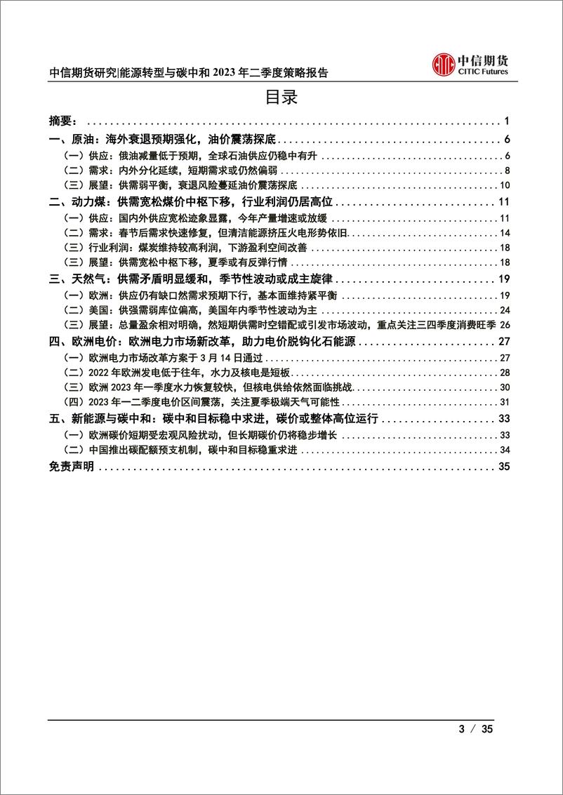 《能源转型与碳中和2023年二季度策略报告：能源市场供需矛盾缓解，但节奏趋于分化-20230321-中信期货-35页》 - 第4页预览图