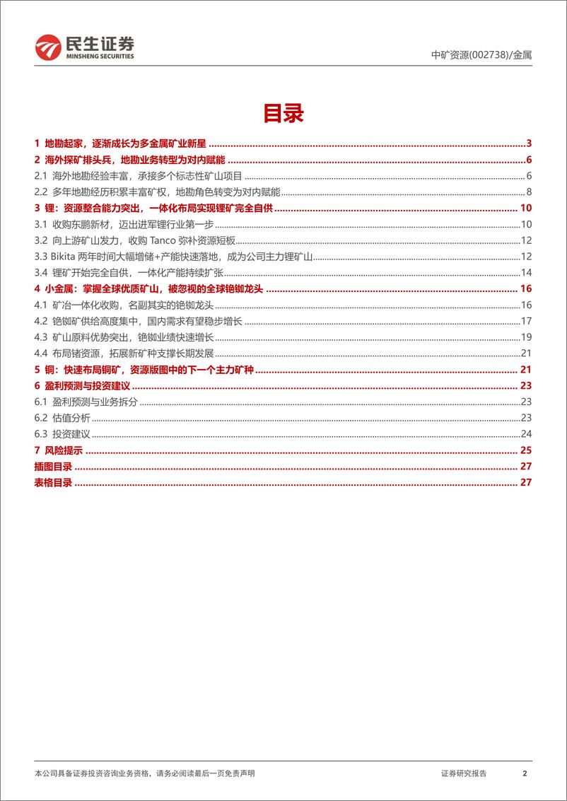 《民生证券-中矿资源-002738-深度报告_地勘赋能_多金属矿业新星展宏图》 - 第2页预览图