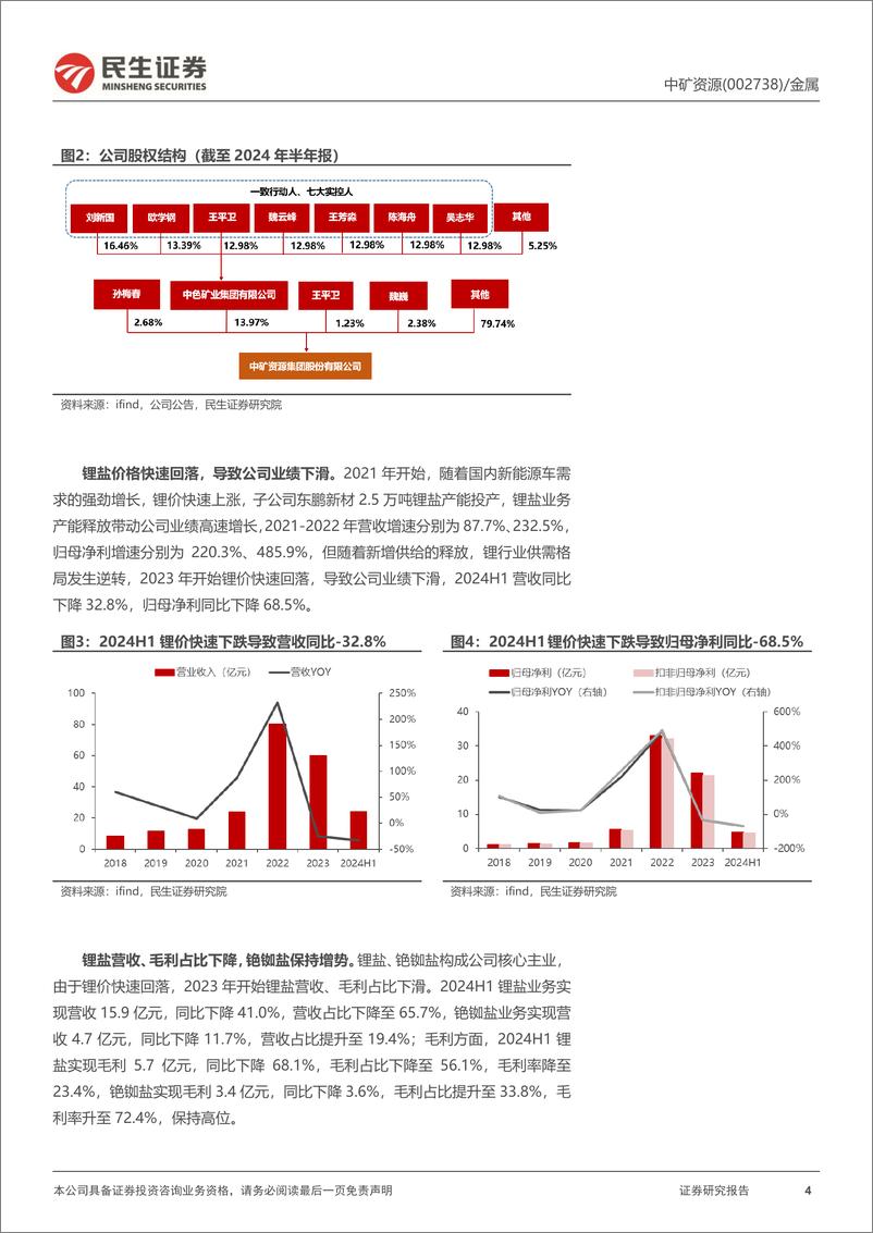 《民生证券-中矿资源-002738-深度报告_地勘赋能_多金属矿业新星展宏图》 - 第4页预览图