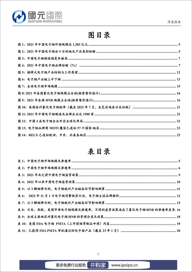 《20230206-国元国际-电子烟：解析电子烟全球监管体系，重点关注品牌化出海机会》 - 第3页预览图