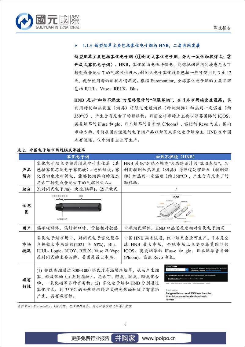 《20230206-国元国际-电子烟：解析电子烟全球监管体系，重点关注品牌化出海机会》 - 第6页预览图