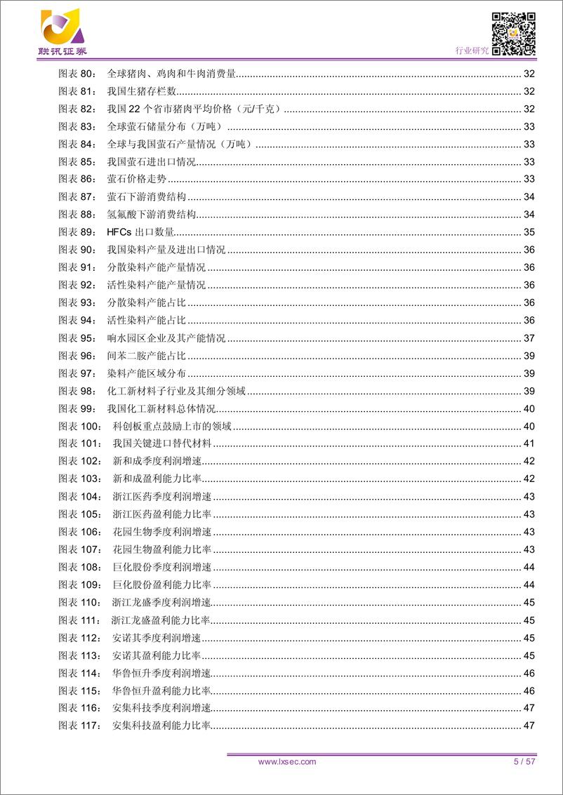 《化工行业2019年中期投资策略报告：供需扰动扑朔迷离，稍安勿躁静候良机-20190623-联讯证券-57页》 - 第6页预览图