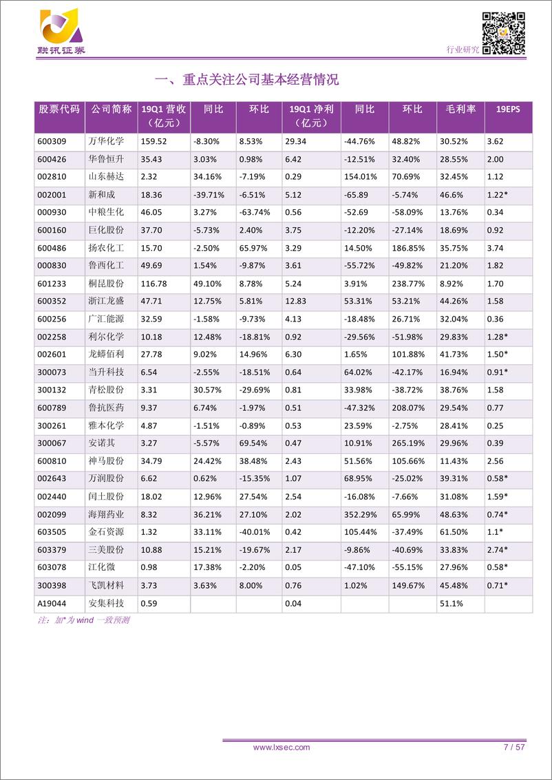 《化工行业2019年中期投资策略报告：供需扰动扑朔迷离，稍安勿躁静候良机-20190623-联讯证券-57页》 - 第8页预览图