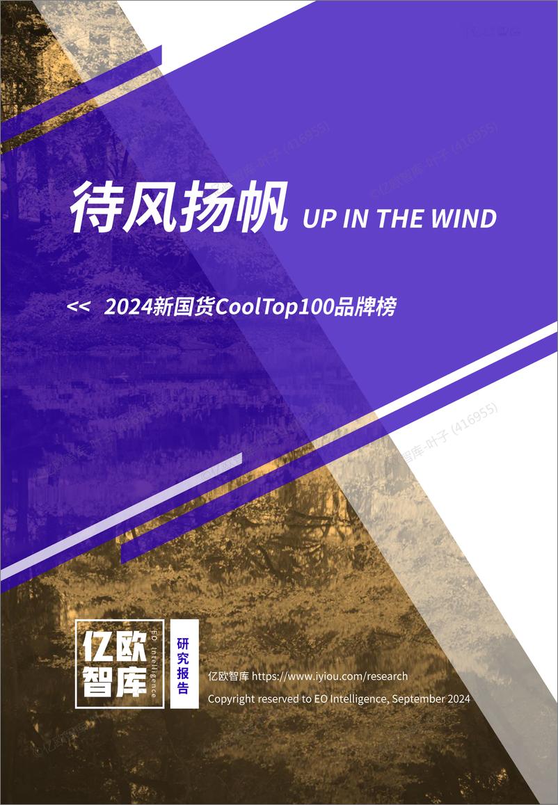 《2024新国货CoolTop100品牌榜-v1.0-亿欧智库》 - 第1页预览图