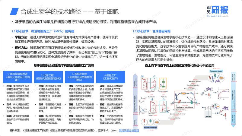 《洞见研报-2024年中国合成生物行业洞察报告》 - 第7页预览图