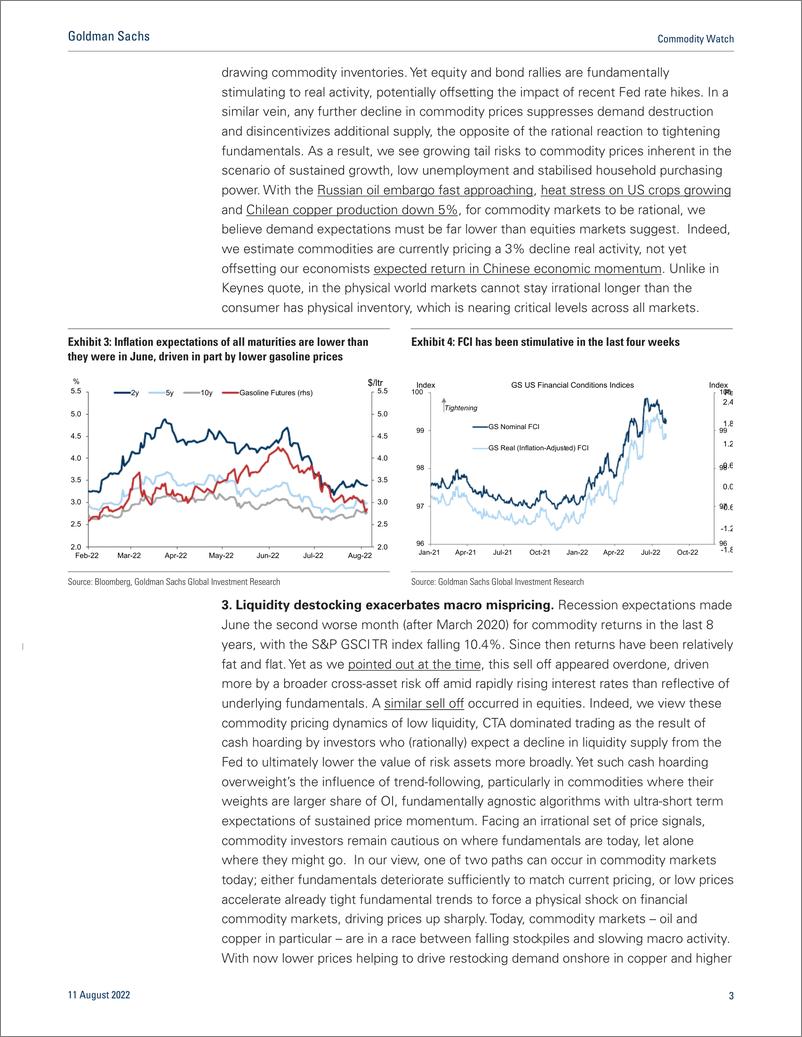 《Commodity Watc Irrational Expectations(1)》 - 第4页预览图