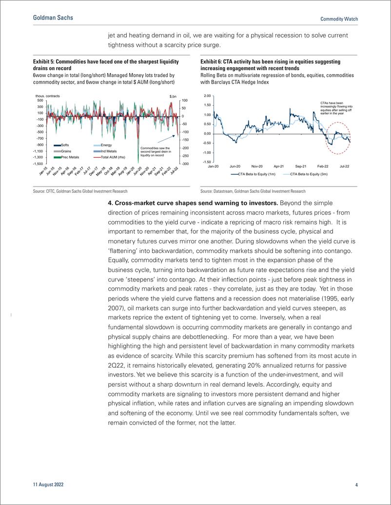 《Commodity Watc Irrational Expectations(1)》 - 第5页预览图