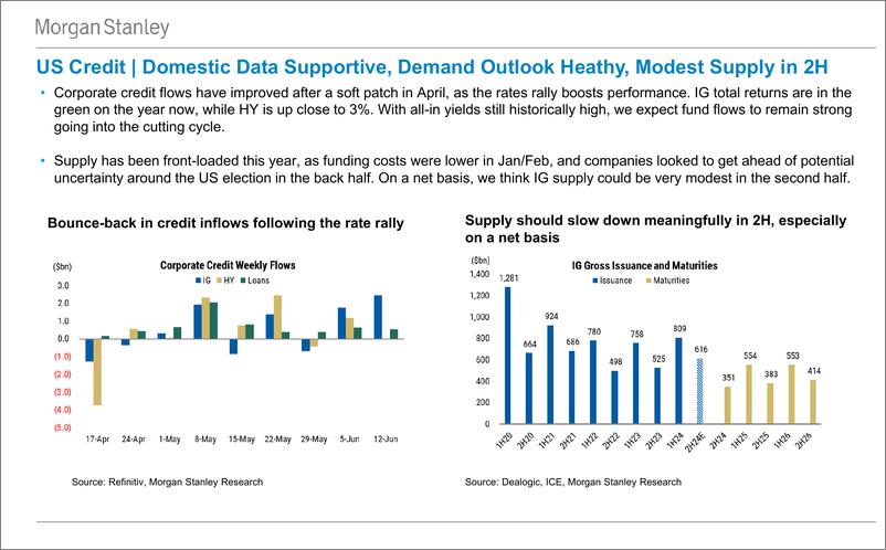 《Morgan Stanley Fixed-Global Credit Strategy Global Credit Research Webcast Slide...-108783253》 - 第6页预览图