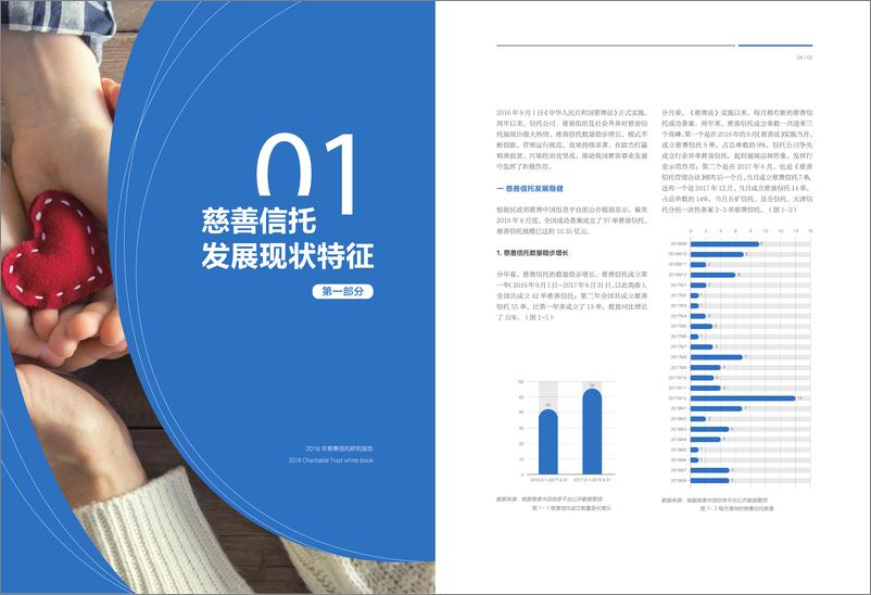 《中诚信托-2018慈善信托研究报告-2019.5-26页》 - 第6页预览图