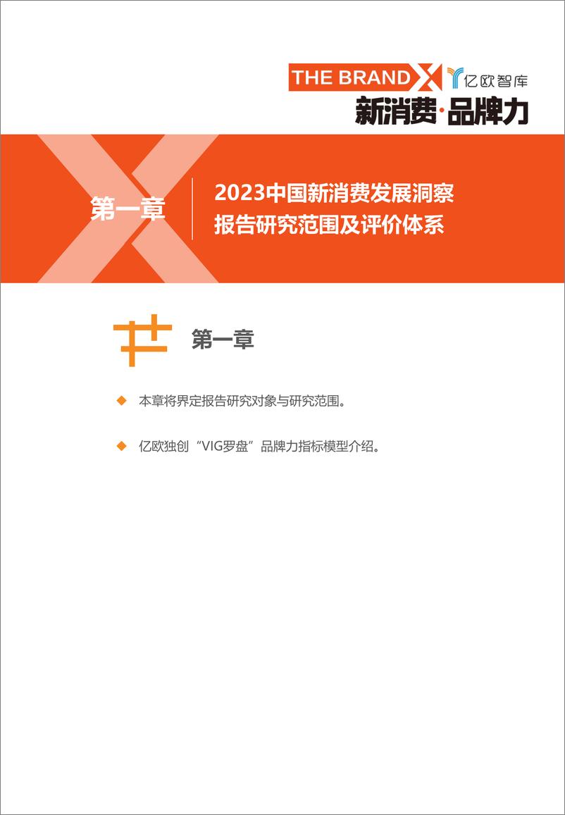 《2023中国新消费发展洞察暨品牌力榜单-亿欧智库》 - 第6页预览图