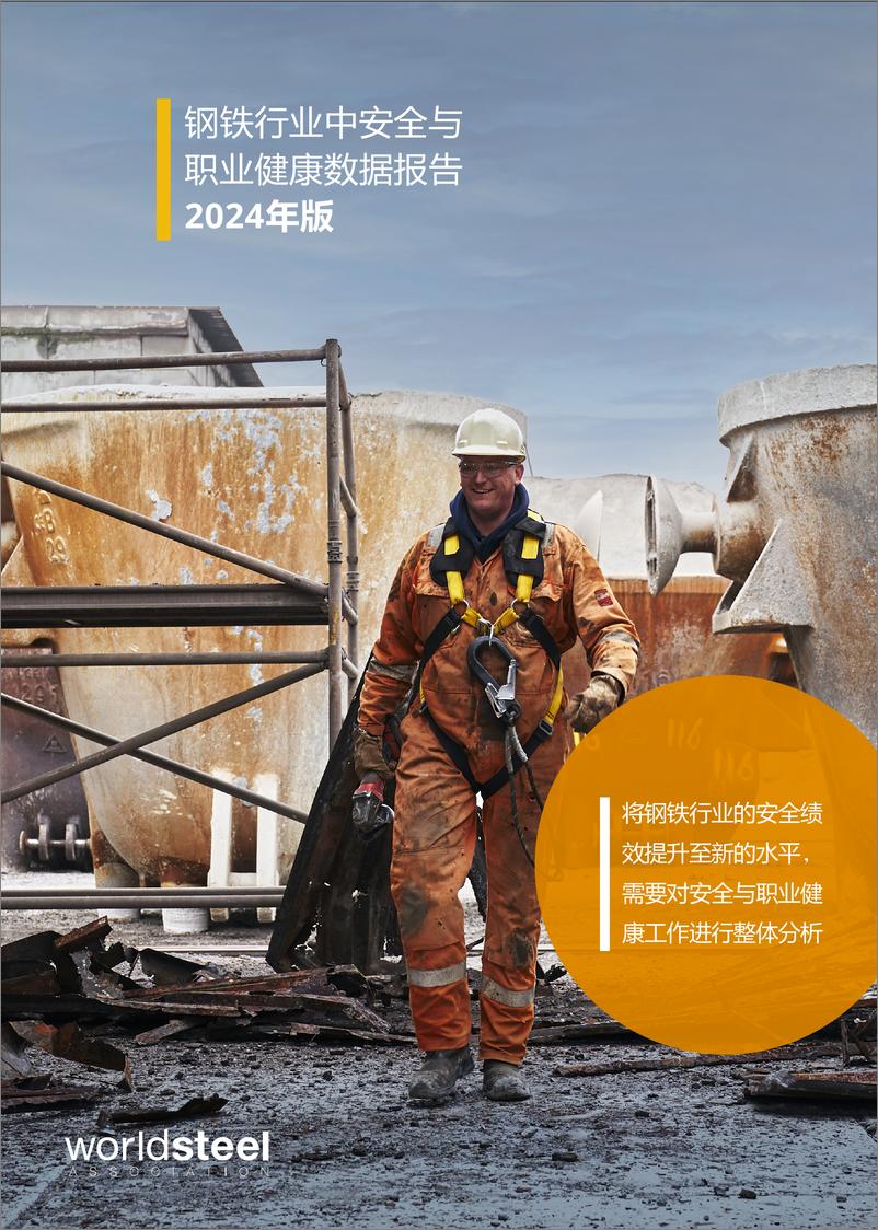 《2024钢铁行业中安全与职业健康数据报告-17页》 - 第1页预览图