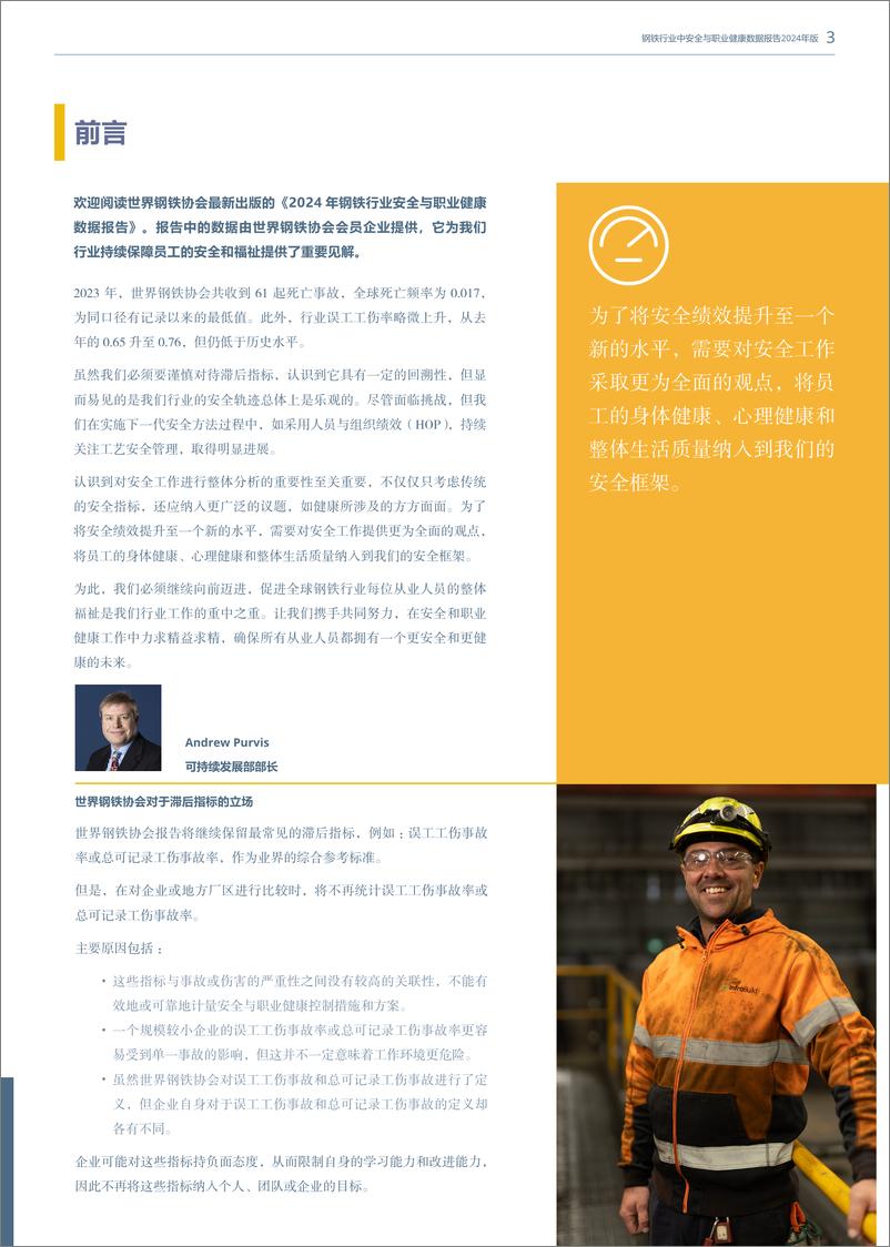 《2024钢铁行业中安全与职业健康数据报告-17页》 - 第3页预览图