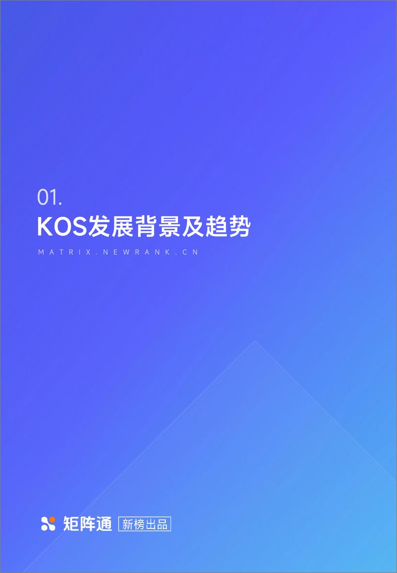 《企业新媒体KOS矩阵研究报告-52页》 - 第4页预览图