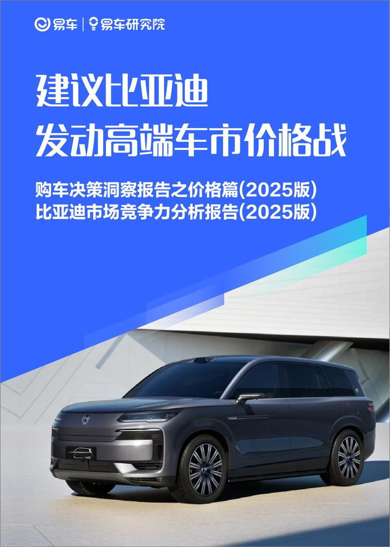 《比亚迪市场竞争力分析报告2025版》 - 第1页预览图