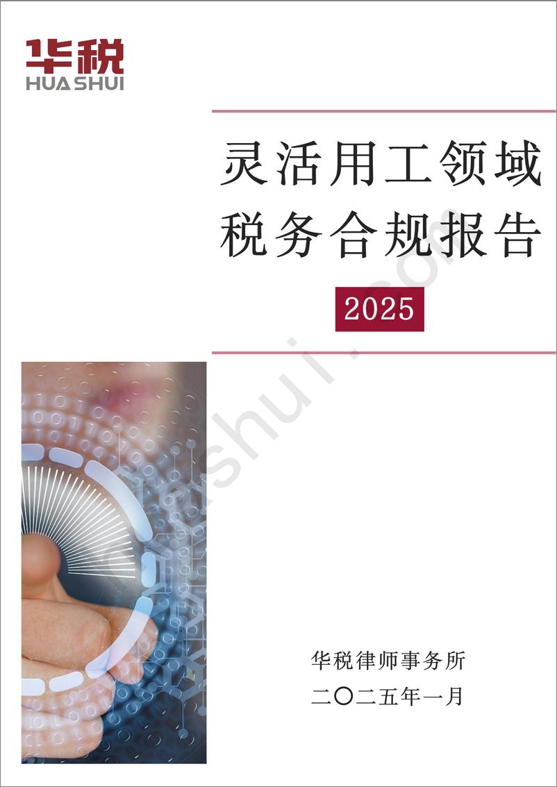 《灵活用工领域税务合规报告（2025）-40页》 - 第1页预览图