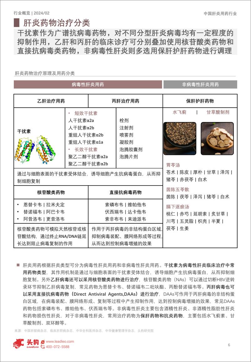 《头豹研究院-2024年中国肝炎用药行业概览：病毒性肝炎多发驱动中国肝炎药物市场速增，政府重点关注推动药品加速迭代》 - 第6页预览图