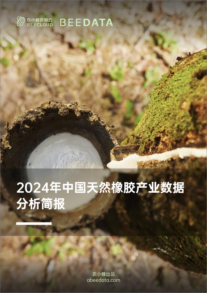 《2024年中国天然橡胶产业数据分析简报》 - 第1页预览图