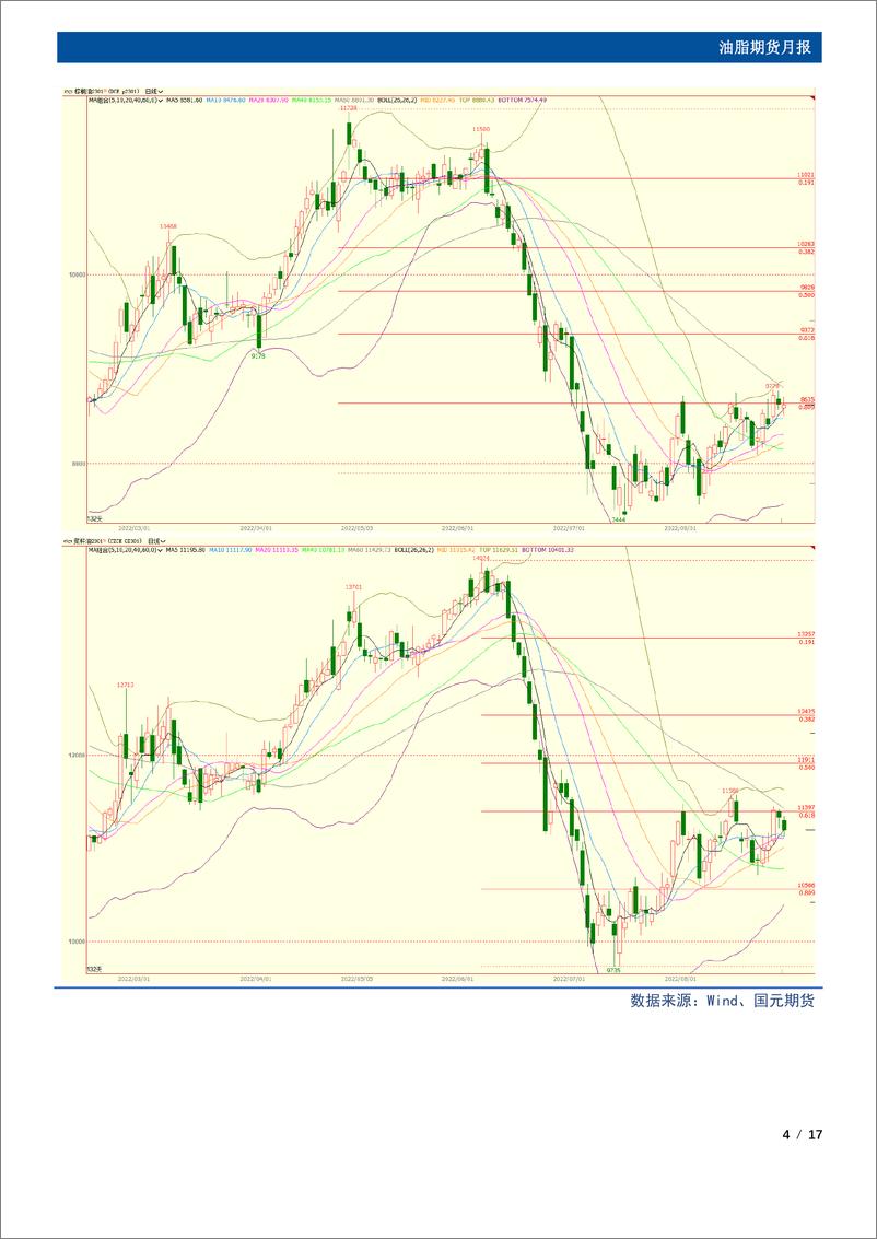 《油脂期货月报：双节提振需求，9月油脂阶段性反弹-20220828-国元期货-17页》 - 第5页预览图