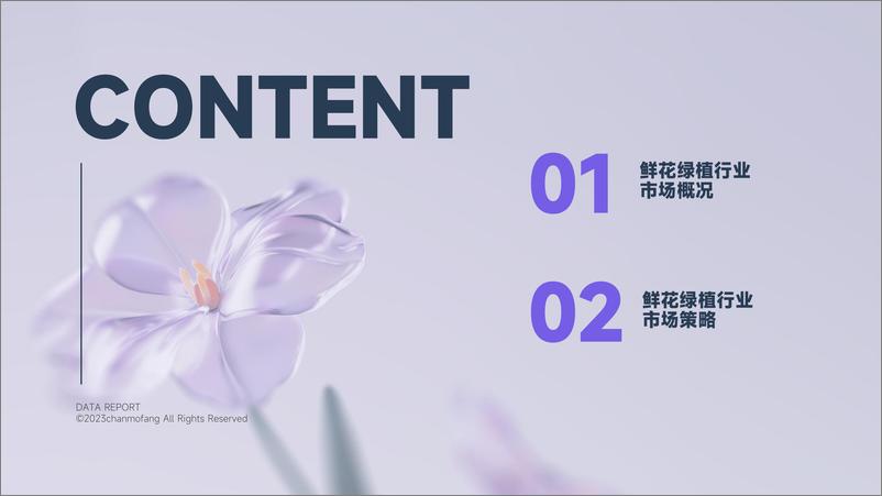 《抖音电商2023年鲜花绿植行业洞察-蝉妈妈》 - 第3页预览图