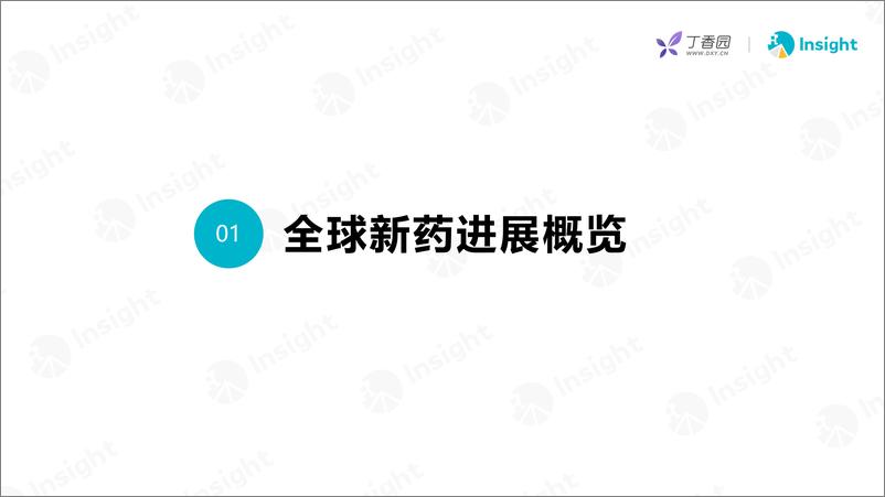 《丁香园_2024年6月全球新药月度报告-分析篇》 - 第5页预览图