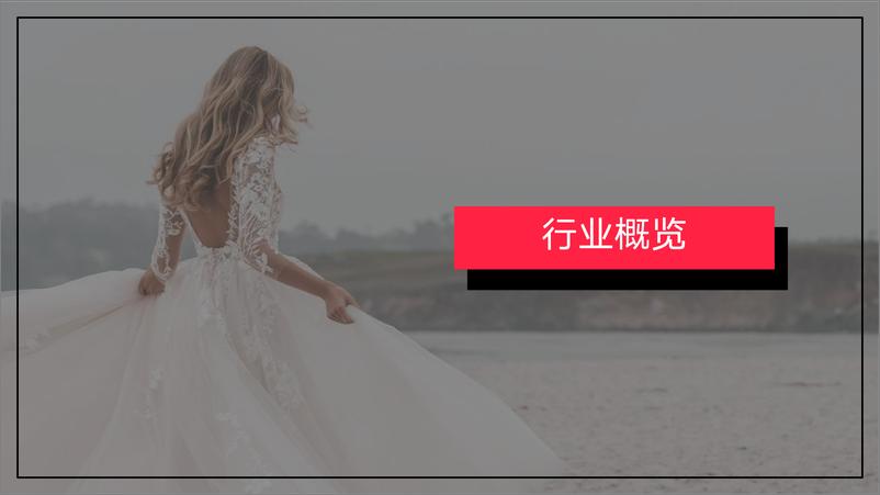 《小红书婚嫁行业（含写真）月报（2024年1月）》 - 第3页预览图