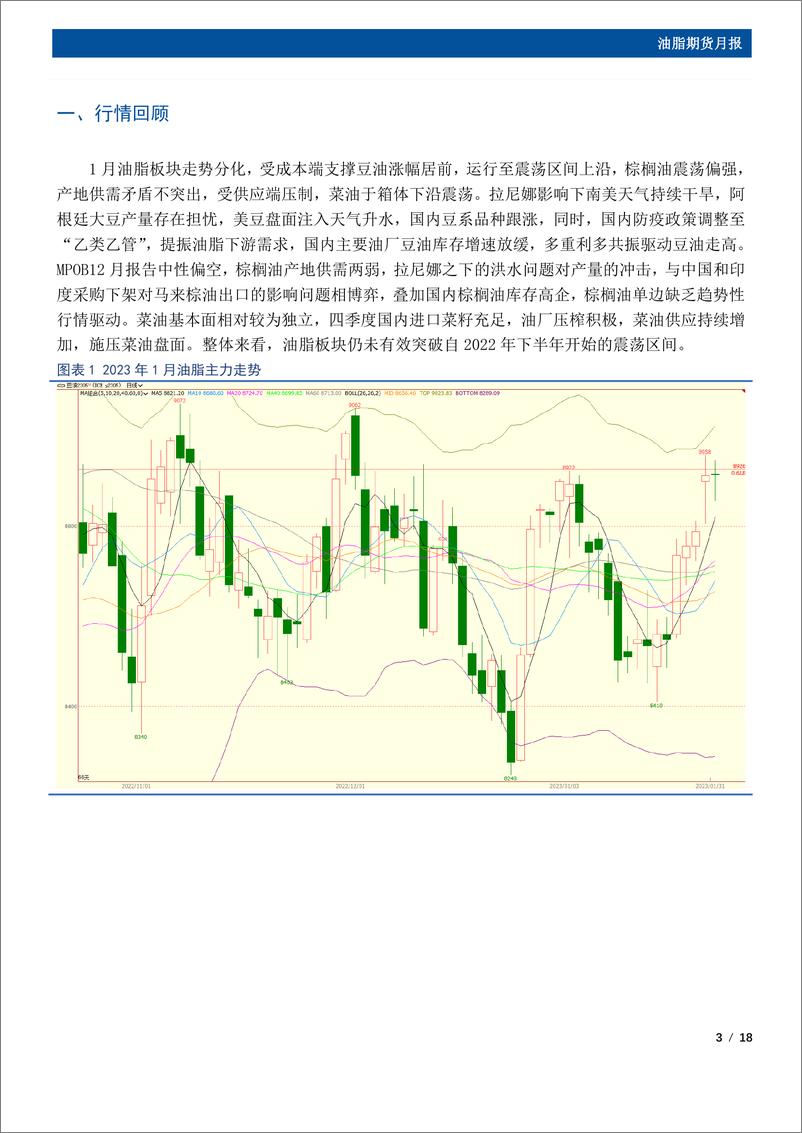 《油脂期货月报：产地供应偏紧，2月油脂存在反弹空间-20230207-国元期货-18页》 - 第4页预览图