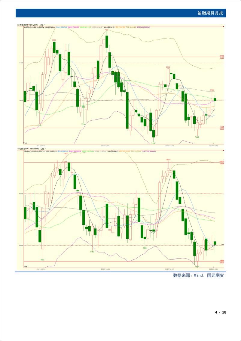 《油脂期货月报：产地供应偏紧，2月油脂存在反弹空间-20230207-国元期货-18页》 - 第5页预览图