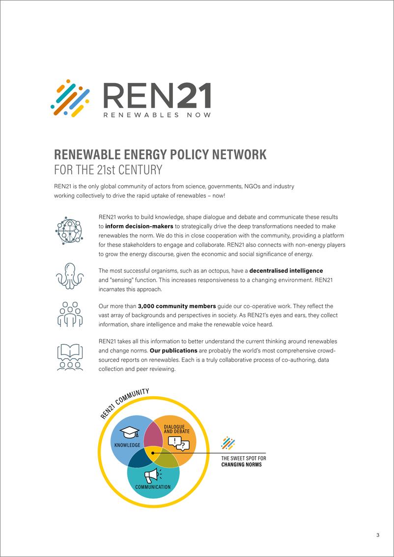 《REN21-透视可再生能源数据-可再生能源2022年全球现状报告（英）-2022-24页》 - 第4页预览图